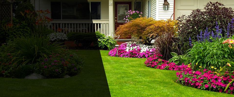 Nescopeck Landscapers