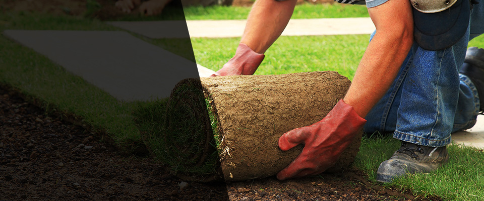 Nescopeck Landscapers